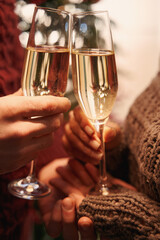 Man and woman clinking glasses of champagne indoors
