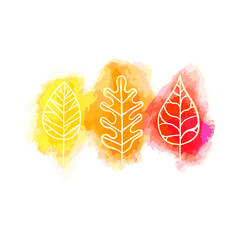 Autumn Watercolor Leaf. Vector Illustration of Hand Drawn Plant.