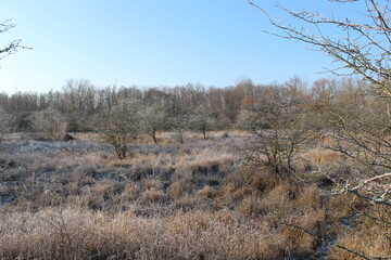 Ein Toller Blick auf die Landschaft