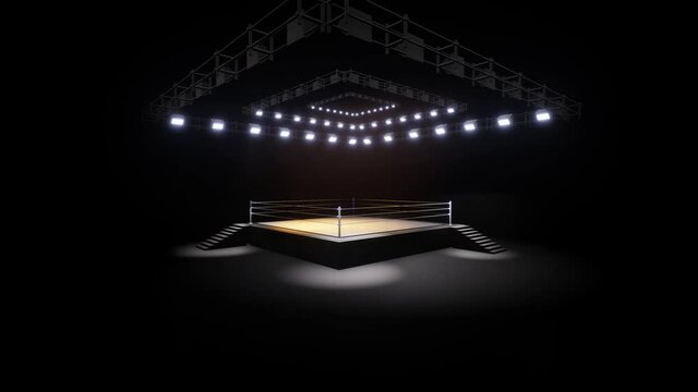 Sports wrestling and boxing. Sport 4K professional background animation