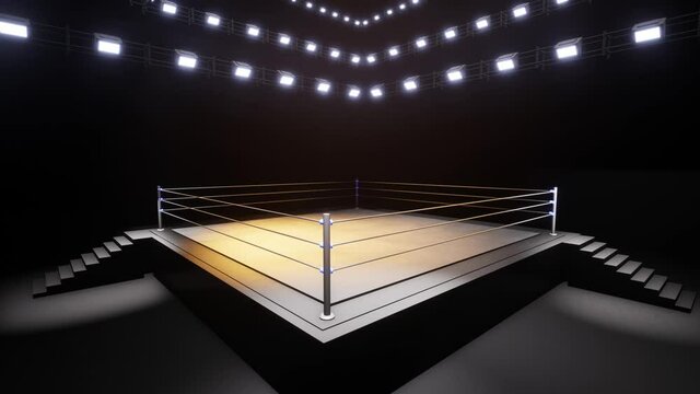 Sports wrestling and boxing. Sport 4K professional background animation
