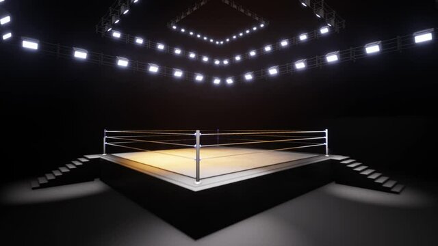 Sports wrestling and boxing. Sport 4K professional background animation