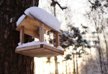 Winter landscape. Russia. Bird feeder in the winter snow-covered forest. Feeder on the background of white trees, blue sunny sky.