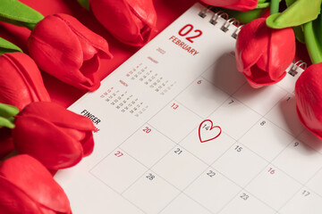 The mark heart on 14th calendar of February with red tulips flower on the red background on a desk, the concept for Valentine's day on 14th February 2022. Close-up, Selective focus, blurred background