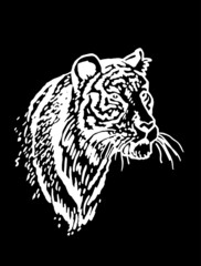 Naklejka na ściany i meble Graphical vector portrait of tiger isolated on black , stripy skin design 
