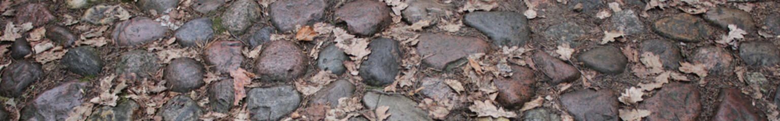 Stone paving and fallen oak leaves