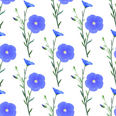 Fototapeta na wymiar The flowers and buds of flax from the stem and leaves on a white background, seamless pattern, vector