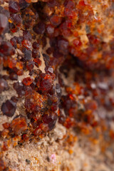 Obraz na płótnie Canvas garnet mineral specimen stone rock geology gem crystal
