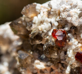 garnet mineral specimen stone rock geology gem crystal