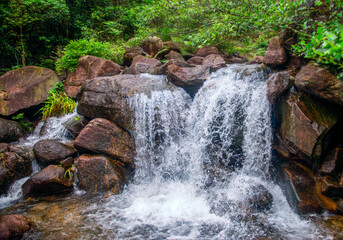 Waterfall, Tropical Rain Forest Rocks, River Stream, Water Fall over Rocks, Waterfall Stream, Green Forest Rocks, Water River Stream.