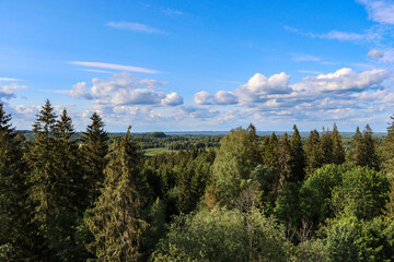 Landscape with tree tops in the foreground