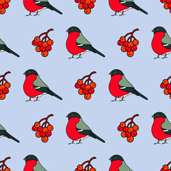 Bright seamless illustration with bullfinches and viburnum twigs. Vector drawing.