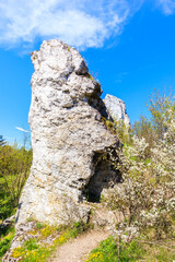 Beautiful lime rocks formation near Rzedkowice village in Polish Jurassic Highland on sunny spring day, Poland