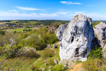 Beautiful lime rocks formation near Rzedkowice village in Polish Jurassic Highland on sunny spring day, Poland