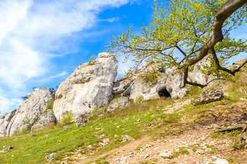 Beautiful lime rocks formation near Rzedkowice village in Polish Jurassic Highland on sunny spring day, Poland