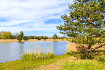 Small lake Dzibice in Polish Jurassic Highland on sunny spring day, Poland