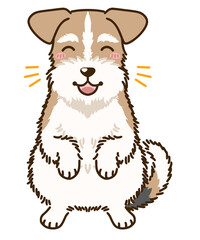 喜ぶワイアーフォックステリア