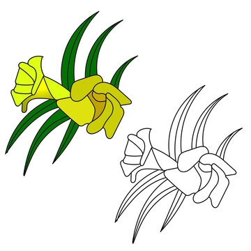 recommend clip art: Flower vector and line art. Oleander
                    flower coloring page. Isolated illustration element.