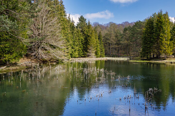 "Presa de Iturbeltz", Entzia mountain range, Basque Country, Spain.