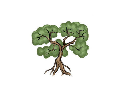 mangrove tree vector illustration. clip art cartoon isolated