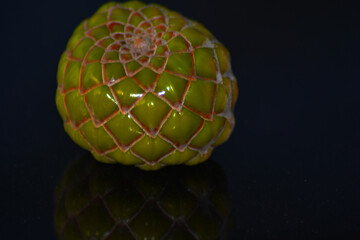 apple on black background