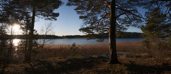 Panorama view over the lake Mälaren from a cliff a sunny frosty winter day in Stockholm