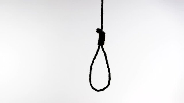 Loop knot sways on a white background