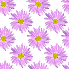Chamomile flowers. Floral seamless texture of Daisy flower purple color on a white background,geometric pattern, vector
