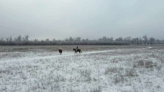 Couple in love riding horses in winter forest 4K. Winter landscape drone aerial view