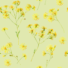 Watercolor seamless pattern with yellow wild flowers