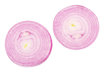 Sliced red onion with isolated on white background. Top view.