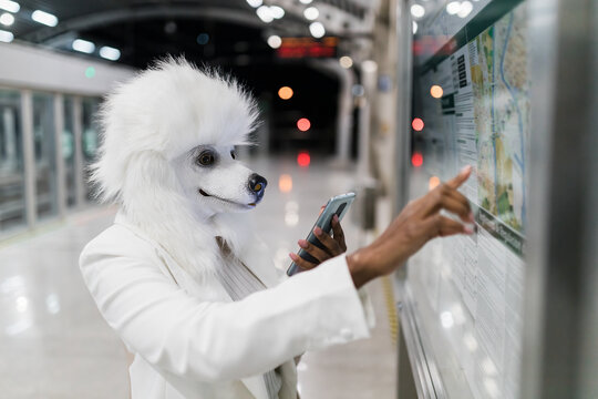 Woman in dog mask reading map at subway station