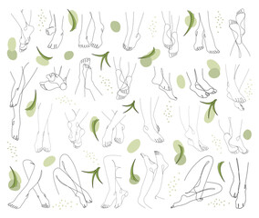 Collection. Silhouettes of lady legs, feet and aloe vera leaves in modern style. Solid one line drawing, outline for decor, wall posters, stickers, logo. Set of vector illustrations.