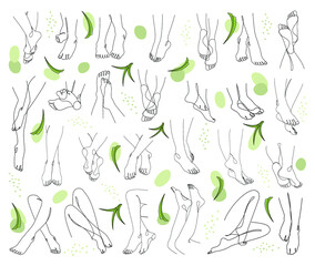 Collection. Silhouettes of lady legs, feet and aloe vera leaves in modern style. Solid one line drawing, outline for decor, wall posters, stickers, logo. Set of vector illustrations.