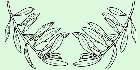 A set of vector illustrations, olive branch with leaves isolated on a light background, monochrome drawing