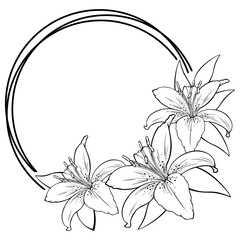Round frame with a bouquet of lilies with white petals, vector , greeting card, postcard © Nat