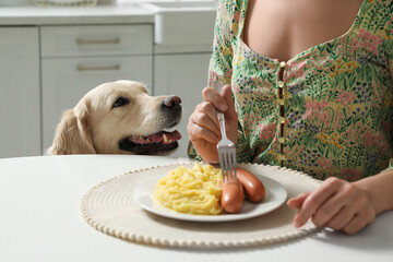 Cute dog begging for food while owner eating at table, closeup - obrazy, fototapety, plakaty