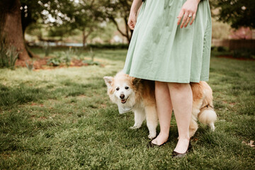 Dog hiding behind woman