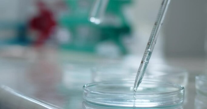 Inside the laboratory: the substance is pipetted into a petri dish. Medications and vaccine development, 4k Prores HQ