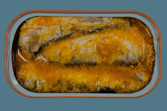 Tinned sardines in tomato sauce