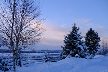 Winter beautiful landscape in the snow