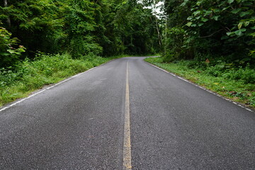 The road through the jungle. Thailand Khao Yai National Park.