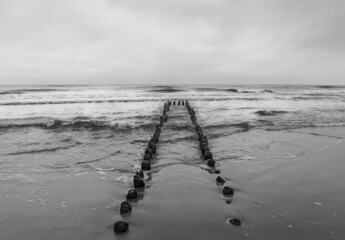 Baltic Sea, wooden breakwater, wooden piles, cloudy December day, big waves at sea, black and white photo 