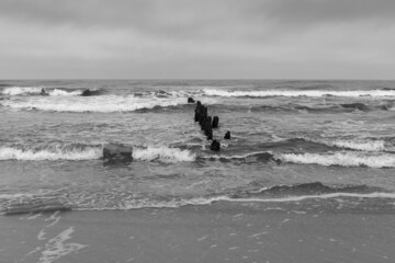 Baltic Sea, wooden breakwater, wooden piles, cloudy December day, big waves at sea, black and white photo 