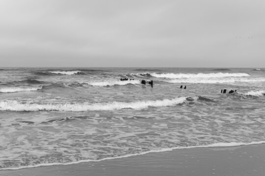 Baltic Sea, wooden breakwater, wooden piles, cloudy December day, big waves at sea, black and white photo 