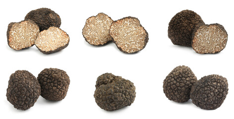 Set with expensive delicious black truffles on white background. Banner design - obrazy, fototapety, plakaty