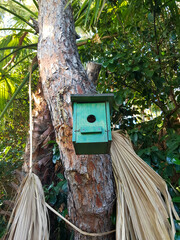 wooden birdhouse on a  tree. Simple birdhouse design. Shelter for bird breeding, nesting box on a tree