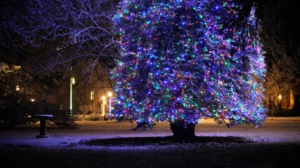 Christmas Tree at Night with snow