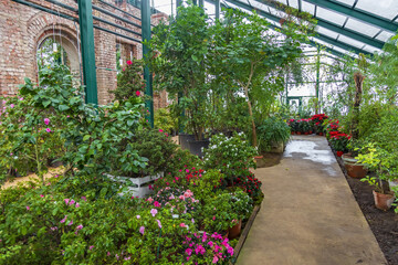 The idea of decorating the interior of a winter garden with tropical and exotic plants