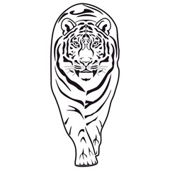 Tiger symbol. Icon, logo or tattoo. Vector illustration.
